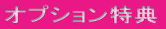 オプション特典